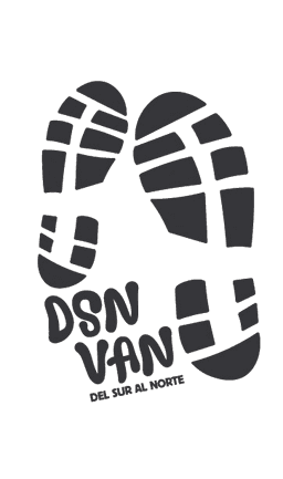 DSN Logo